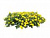 Декоративные деревья и кустарники